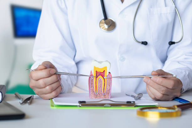Best Emergency Dental Care for Abscessed Tooth in Rio Vista, CA